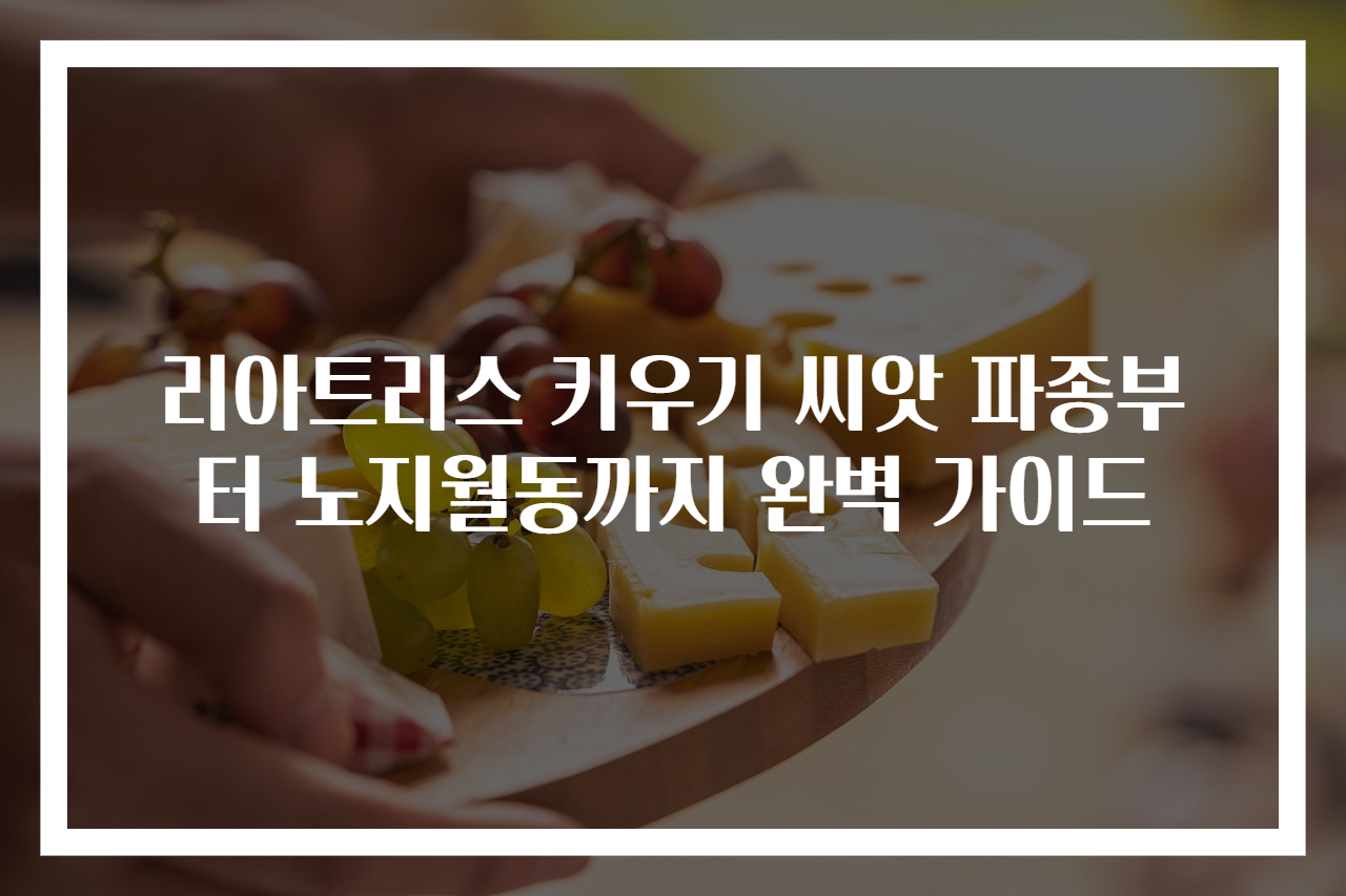 리아트리스 키우기 씨앗 파종부터 노지월동까지 완벽 가이드