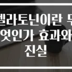 멜라토닌이란 무엇인가 효과와 진실