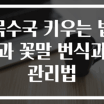 목수국 키우는 법과 꽃말 번식과 관리법