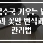목수국 키우는 법과 꽃말 번식과 관리법