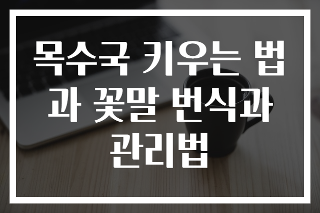 목수국 키우는 법과 꽃말 번식과 관리법