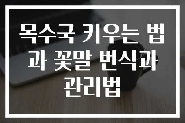목수국 키우는 법과 꽃말 번식과 관리법