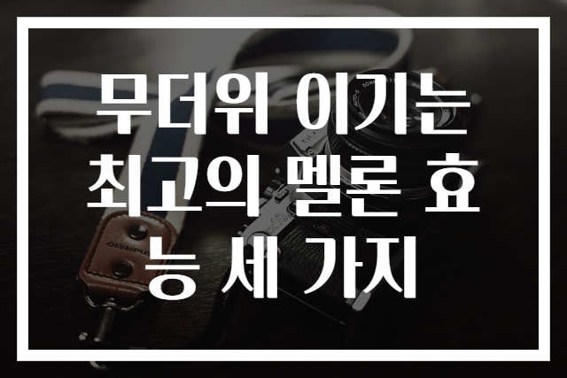 무더위 이기는 최고의 멜론 효능 세 가지