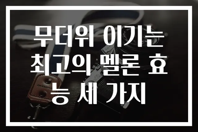 무더위 이기는 최고의 멜론 효능 세 가지