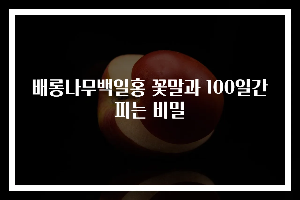 배롱나무백일홍 꽃말과 100일간 피는 비밀