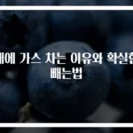 배에 가스 차는 이유와 확실한 빼는법