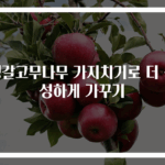 뱅갈고무나무 가지치기로 더 풍성하게 가꾸기