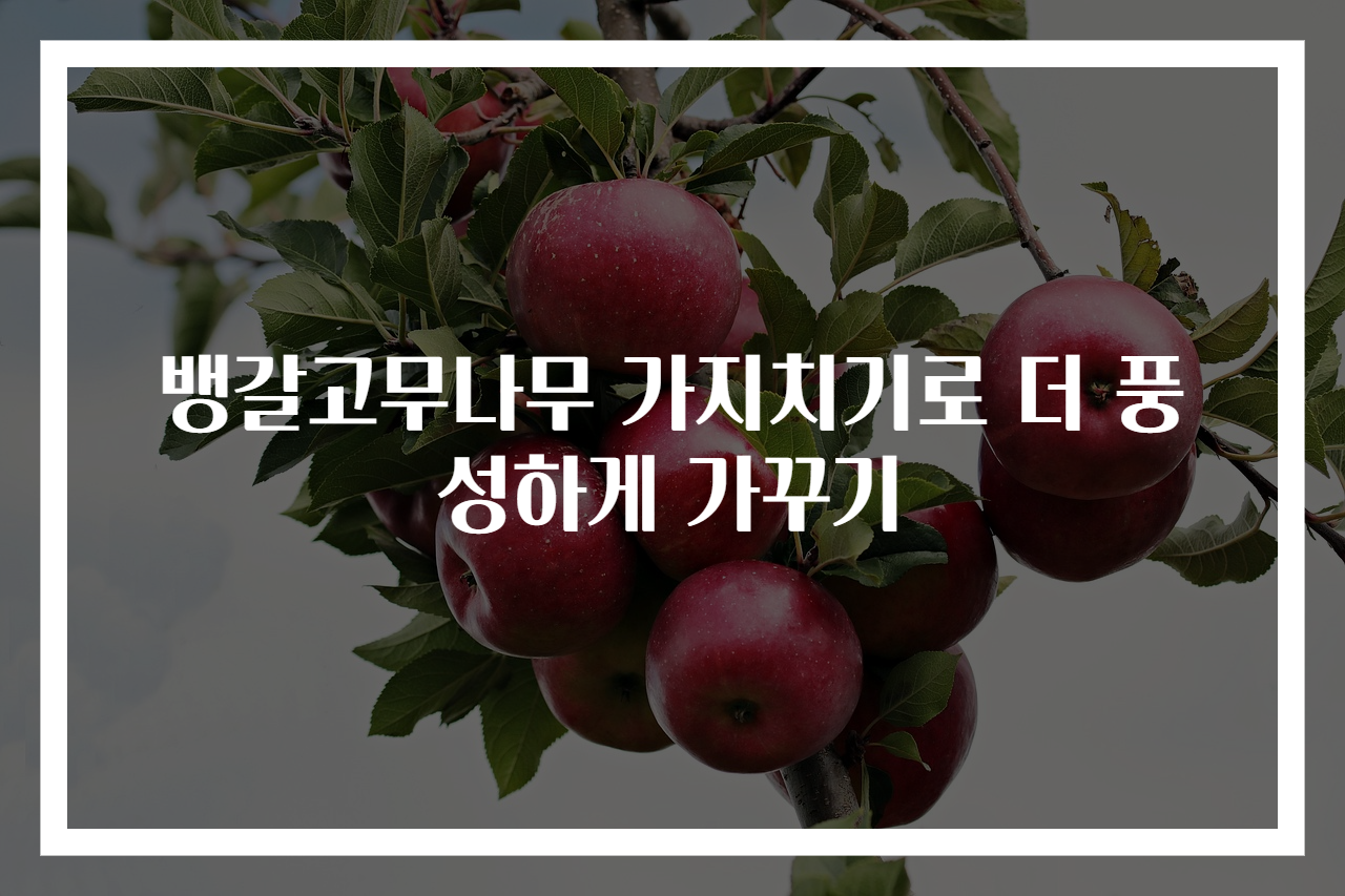 뱅갈고무나무 가지치기로 더 풍성하게 가꾸기