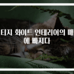 빈티지 화이트 인테리어의 매력에 빠지다