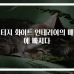 빈티지 화이트 인테리어의 매력에 빠지다