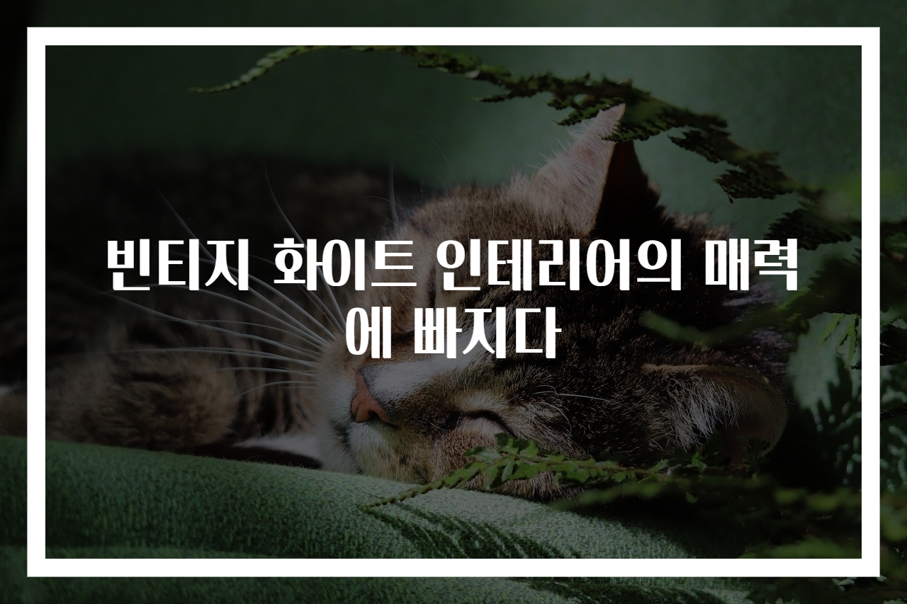 빈티지 화이트 인테리어의 매력에 빠지다