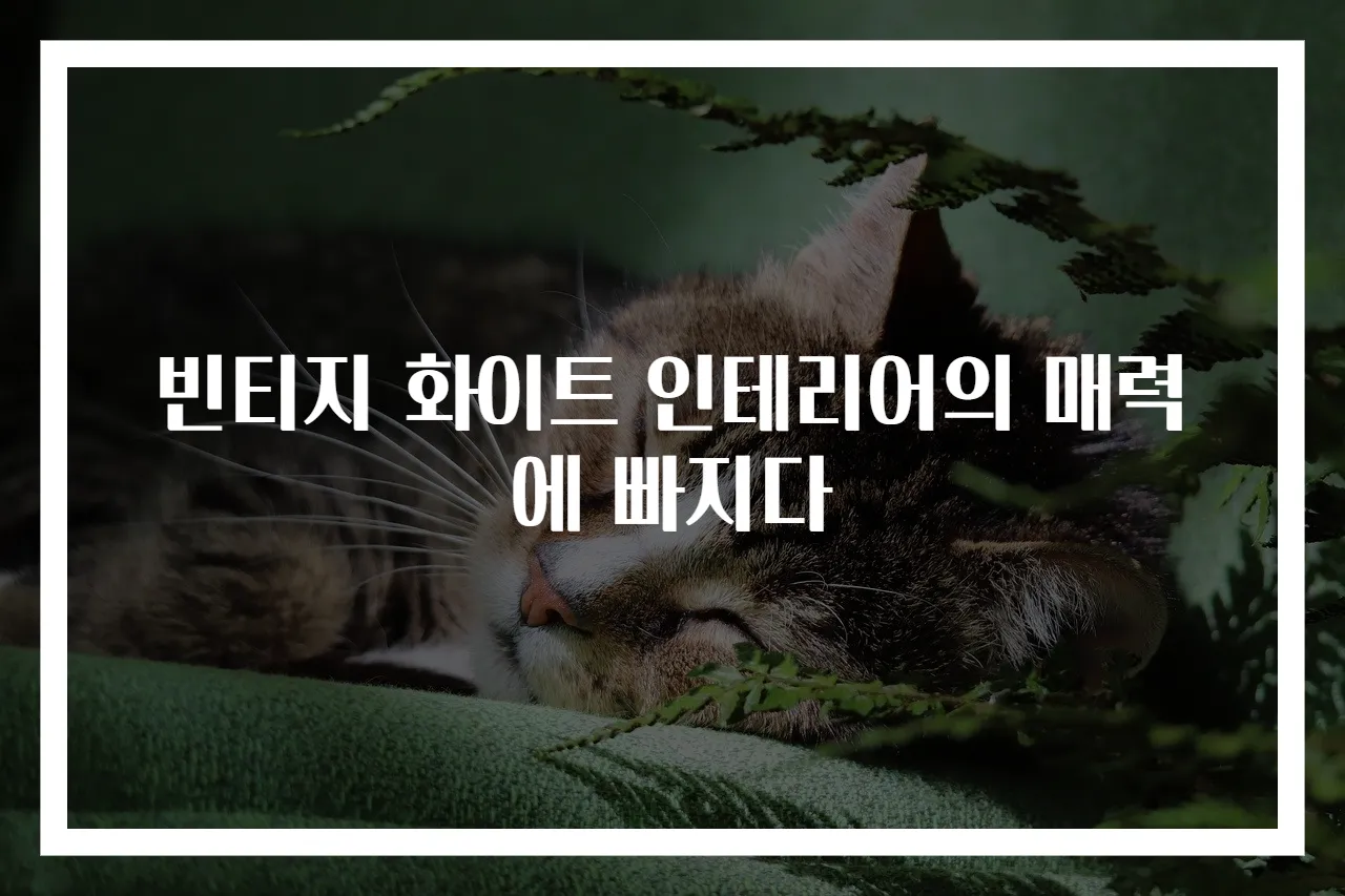 빈티지 화이트 인테리어의 매력에 빠지다