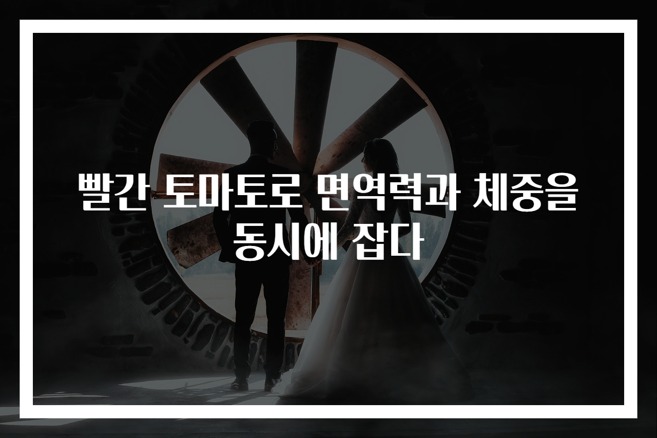 빨간 토마토로 면역력과 체중을 동시에 잡다