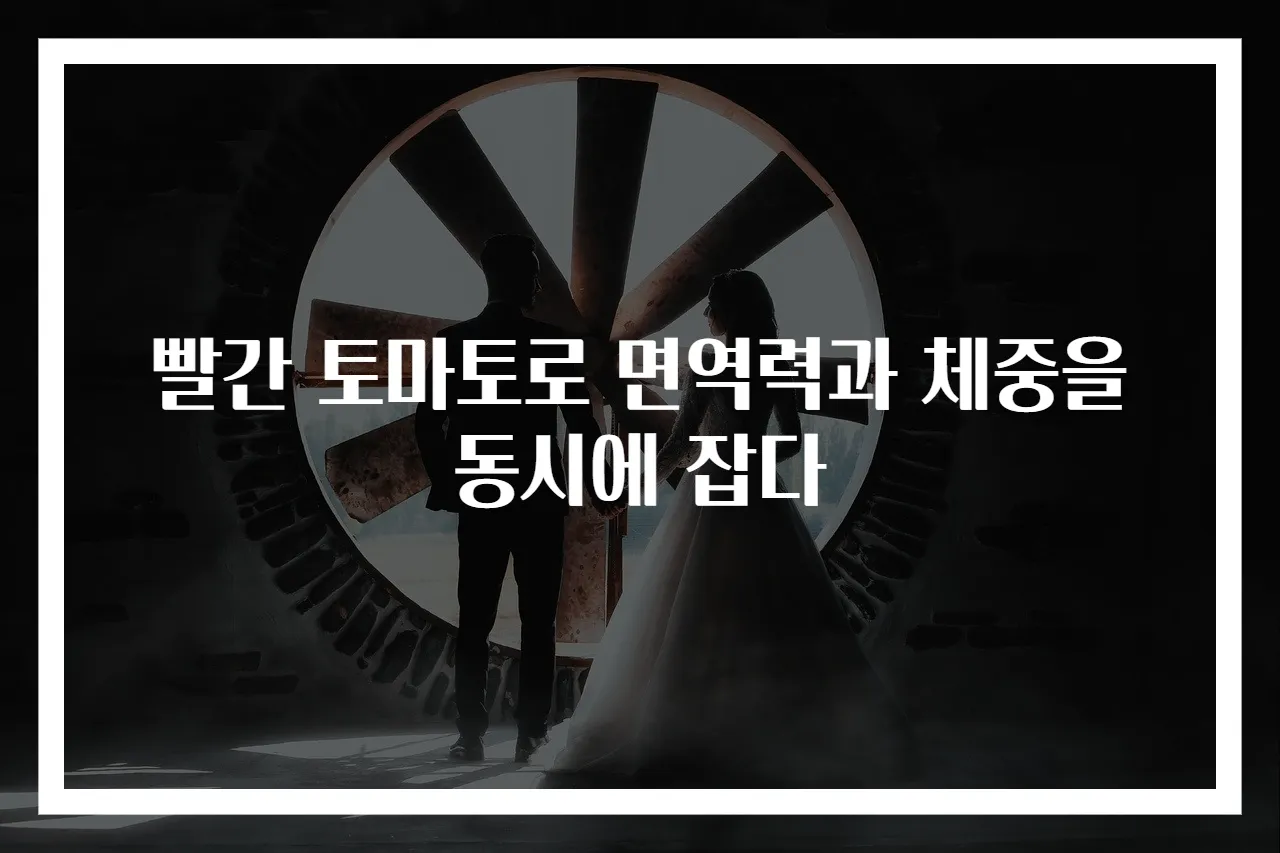 빨간 토마토로 면역력과 체중을 동시에 잡다