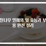 산딸나무 열매와 잎 효능과 부작용 완전 정리
