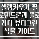 셀렘키우기 필로덴드론과 플로리다 뷰티그린 식물 가이드