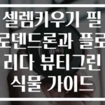 셀렘키우기 필로덴드론과 플로리다 뷰티그린 식물 가이드