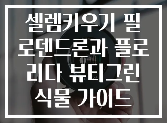 셀렘키우기 필로덴드론과 플로리다 뷰티그린 식물 가이드