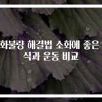 소화불량 해결법 소화에 좋은 음식과 운동 비교