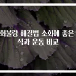 소화불량 해결법 소화에 좋은 음식과 운동 비교