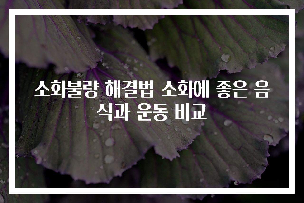 소화불량 해결법 소화에 좋은 음식과 운동 비교