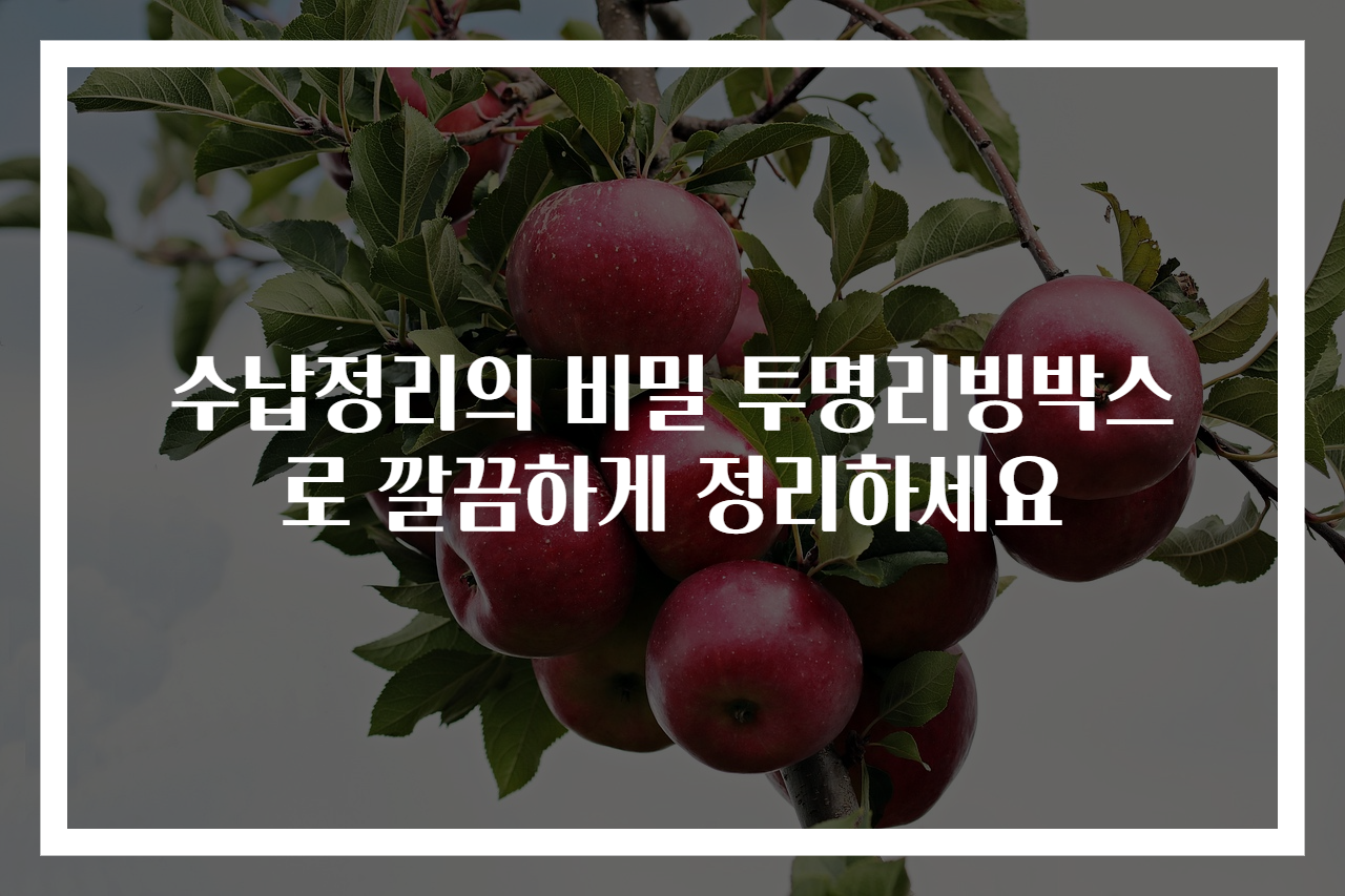 수납정리의 비밀 투명리빙박스로 깔끔하게 정리하세요