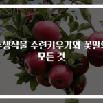 수생식물 수련키우기와 꽃말의 모든 것