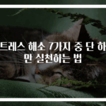 스트레스 해소 7가지 중 단 하나만 실천하는 법