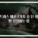 스트레스 해소 7가지 중 단 하나만 실천하는 법