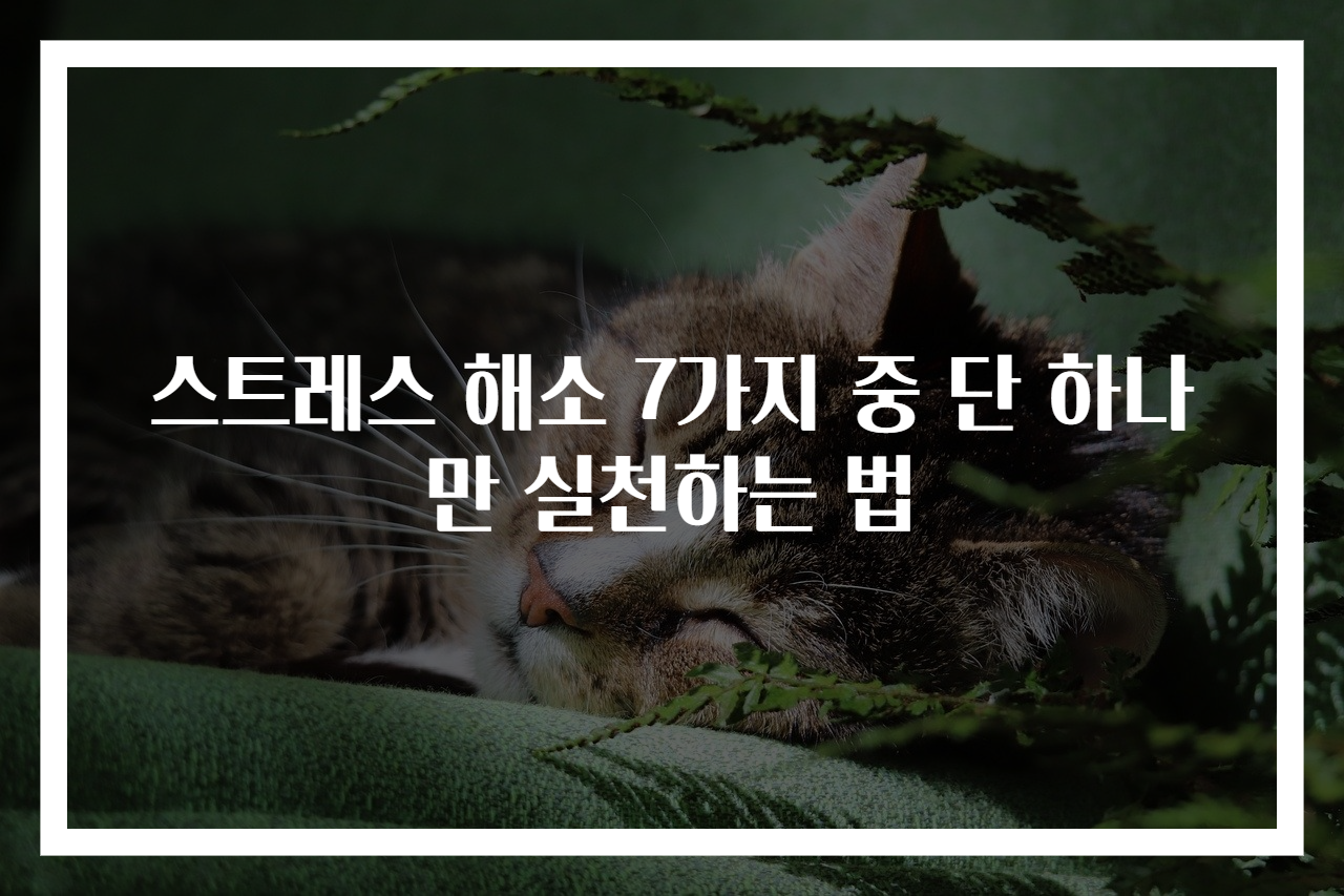 스트레스 해소 7가지 중 단 하나만 실천하는 법