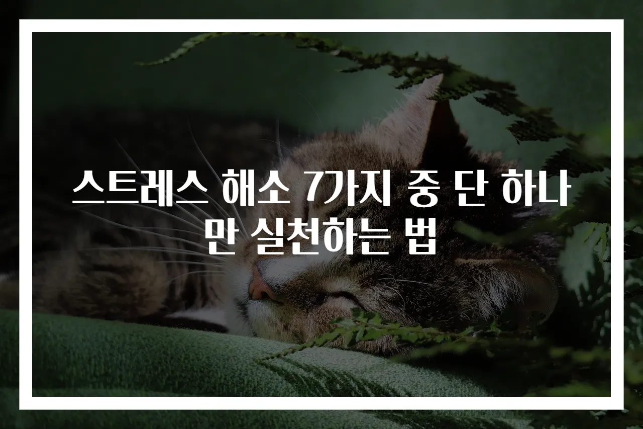 스트레스 해소 7가지 중 단 하나만 실천하는 법