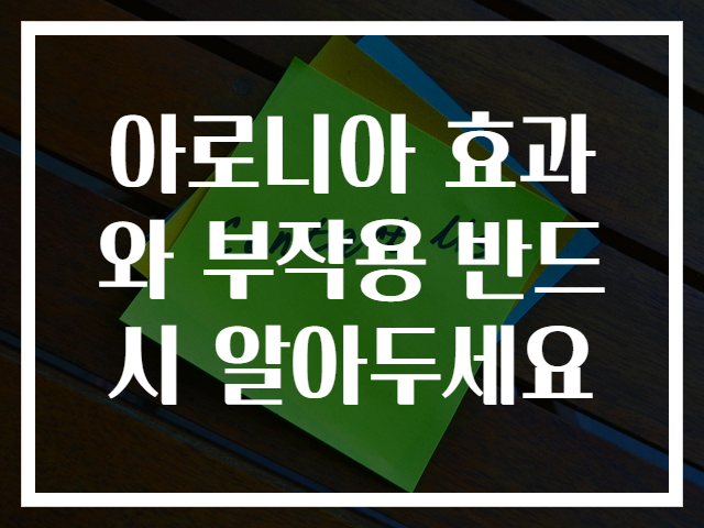 아로니아 효과와 부작용 반드시 알아두세요