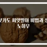 아보카도 씨앗발아 비법과 성장 노하우