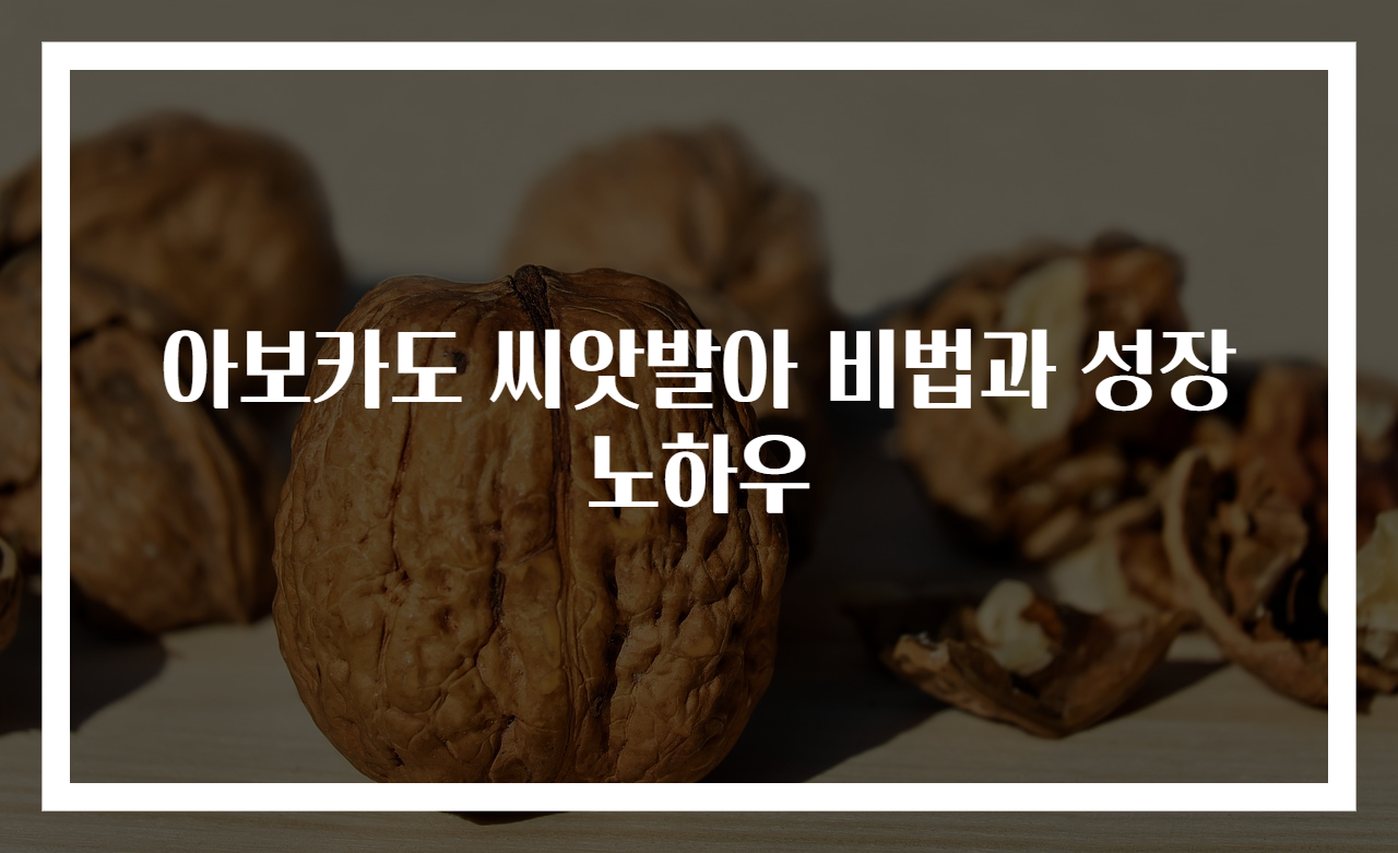 아보카도 씨앗발아 비법과 성장 노하우