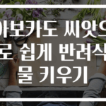 아보카도 씨앗으로 쉽게 반려식물 키우기