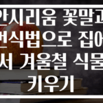 안시리움 꽃말과 번식법으로 집에서 겨울철 식물 키우기