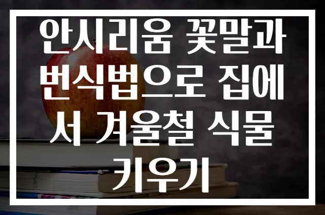 안시리움 꽃말과 번식법으로 집에서 겨울철 식물 키우기