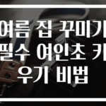 여름 집 꾸미기 필수 여인초 키우기 비법