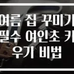 여름 집 꾸미기 필수 여인초 키우기 비법