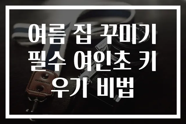 여름 집 꾸미기 필수 여인초 키우기 비법