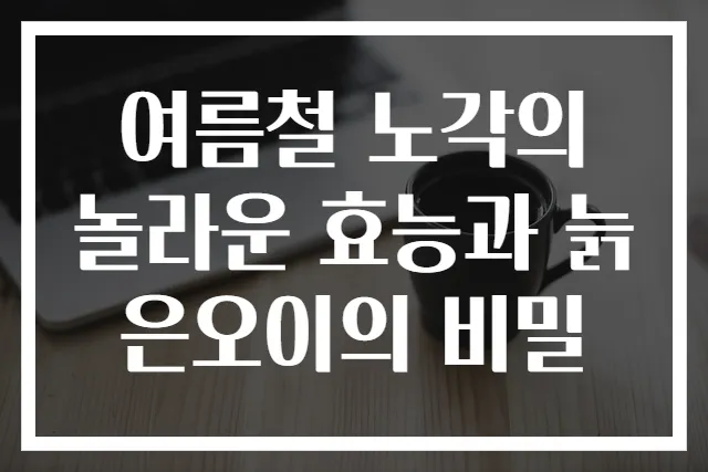 여름철 노각의 놀라운 효능과 늙은오이의 비밀
