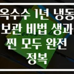 옥수수 1년 냉동 보관 비법 생과 찐 모두 완전 정복