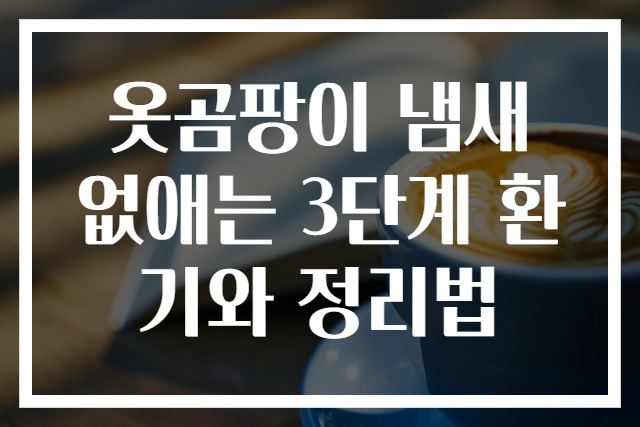 옷곰팡이 냄새 없애는 3단계 환기와 정리법