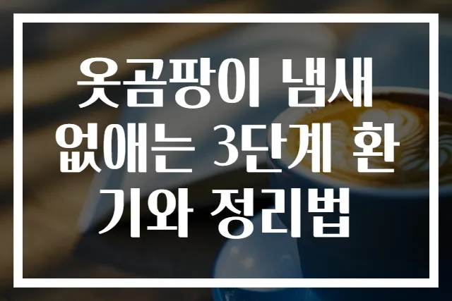 옷곰팡이 냄새 없애는 3단계 환기와 정리법