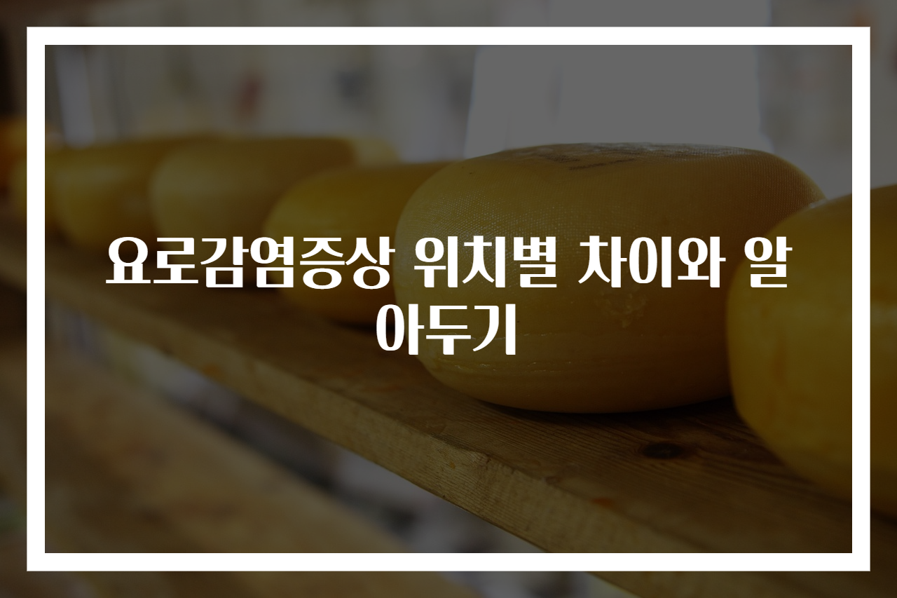 요로감염증상 위치별 차이와 알아두기