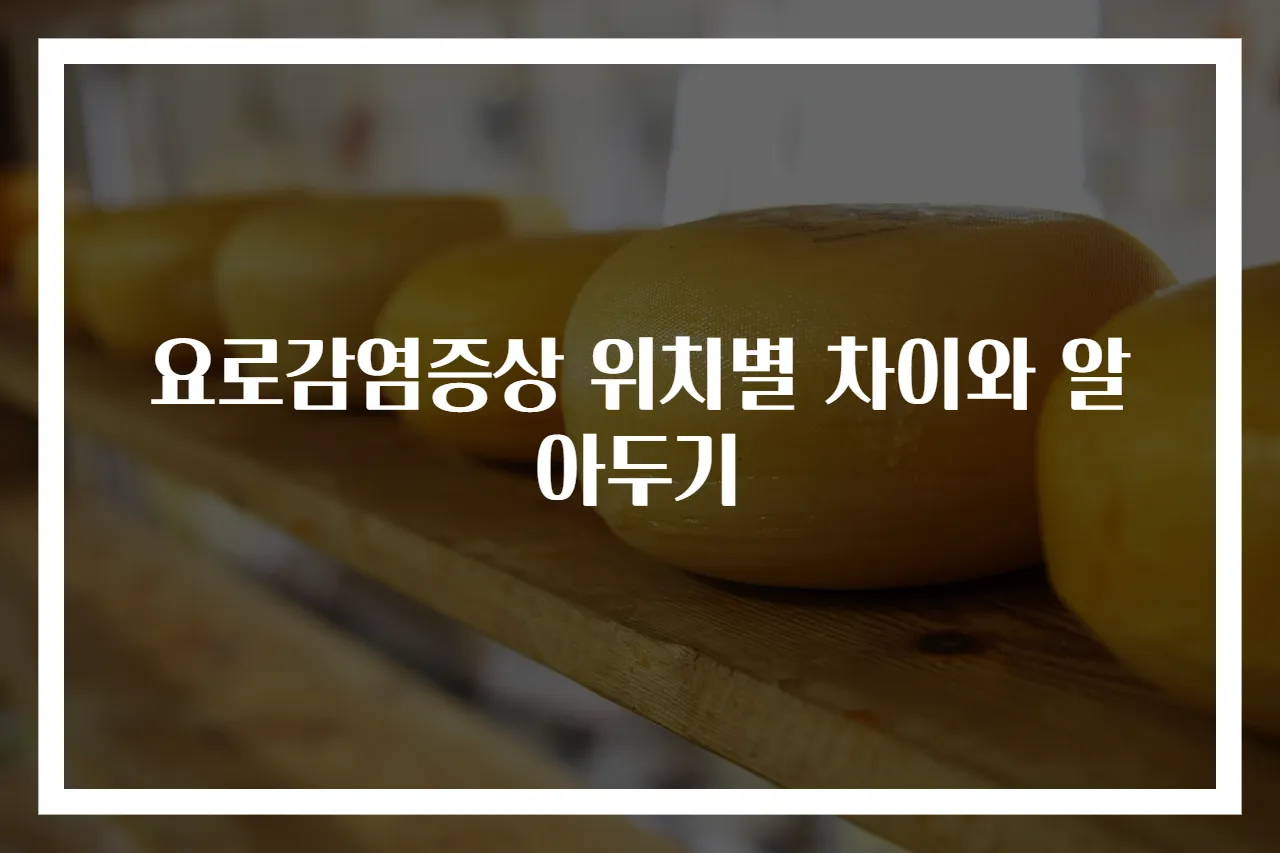 요로감염증상 위치별 차이와 알아두기