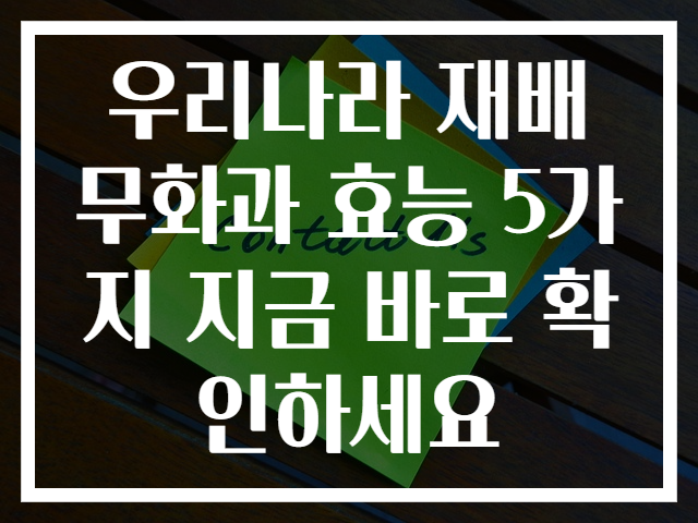 우리나라 재배 무화과 효능 5가지 지금 바로 확인하세요