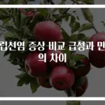 전립선염 증상 비교 급성과 만성의 차이