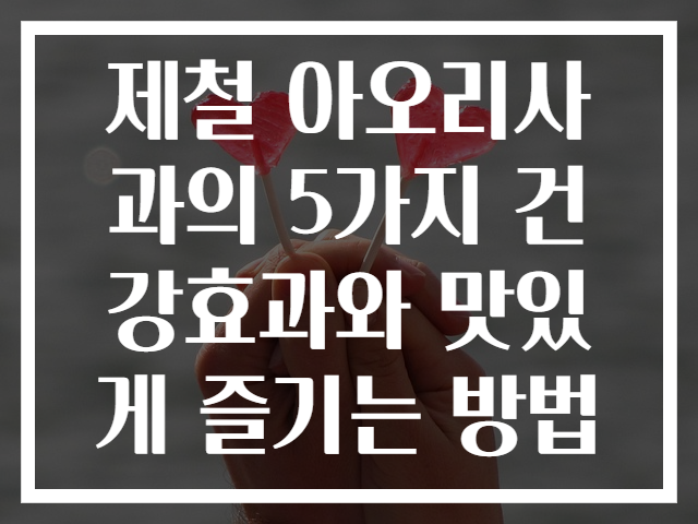 제철 아오리사과의 5가지 건강효과와 맛있게 즐기는 방법