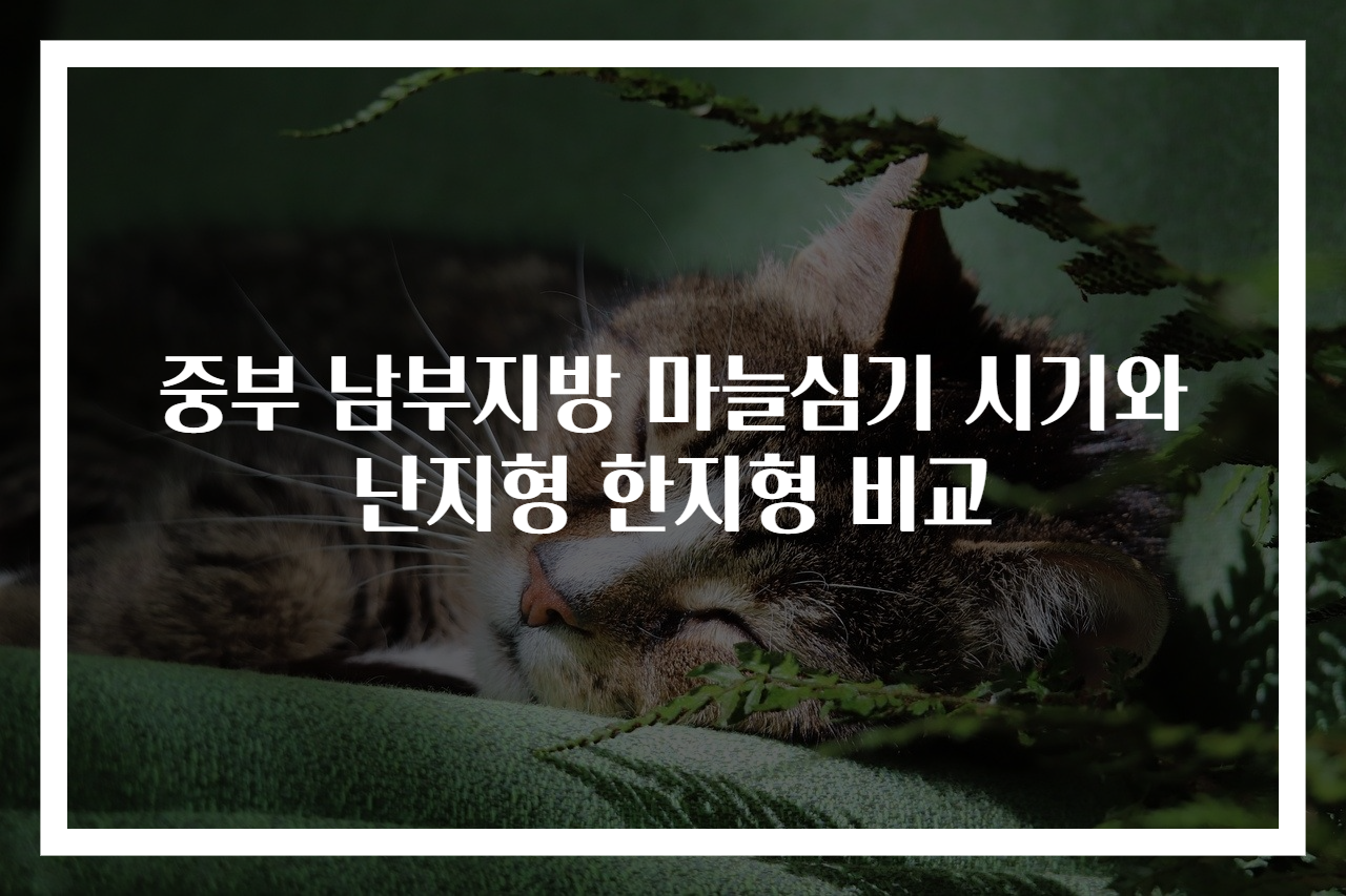 중부 남부지방 마늘심기 시기와 난지형 한지형 비교